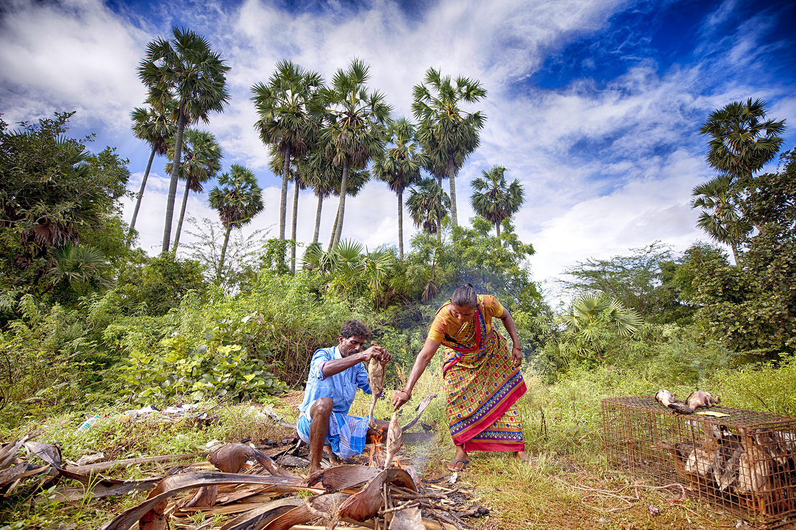 242 | Tamil Nadu 2020